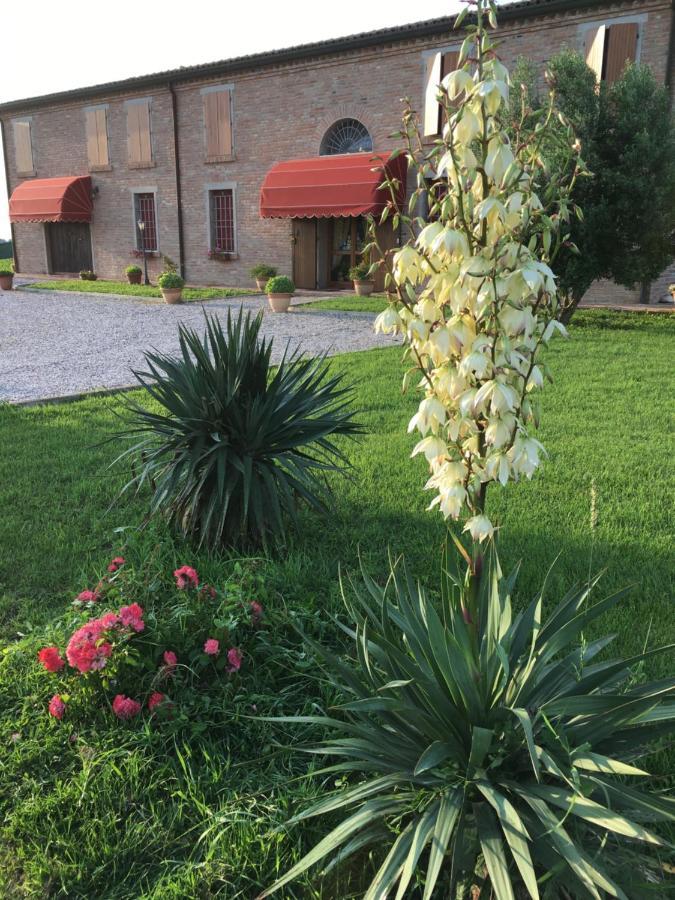Il Frattiero B&B Voghenza Екстер'єр фото